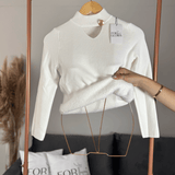 Women's Plush Fuzzy Sweater Delicate