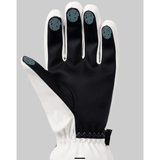 Unisex Lined Waterproof Glove